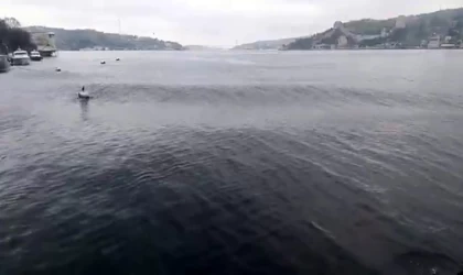 Deprem esnasında İstanbul Boğazı’nda oluşan dalgalar görüntülendi