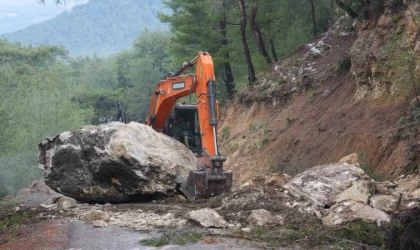 Dev kaya yola düştü, tarım alanları zarar gördü