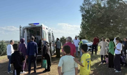 Direksiyon eğitimi sırasında yürüyüş yapan çifte ve ağaca çarptı