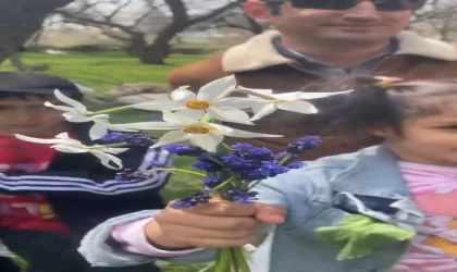 Doğaseverler zerrinkadeh çiçeğine dikkat çekmek için yürüdü