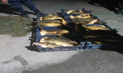 Elazığ’da kaçak avlanılan 210 kilo balık ele geçirildi