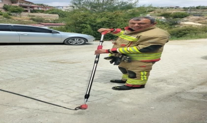 Eve giren yılanı itfaiye yakaladı