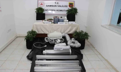 Evine iklimlendirme sistemi kurup kenevir yetiştirdi, jandarmaya yakalandı