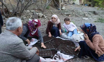 Fidelerini kendileri yetiştiriyorlar