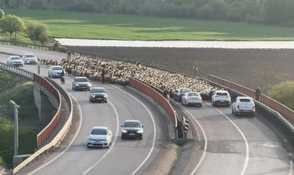 Göçerlerin Faraşin Yaylası yolculuğu başladı