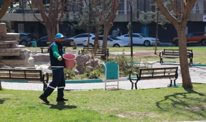 Haliliye Belediyesi mevsimsel çalışmalarla yeşile hayat veriyor