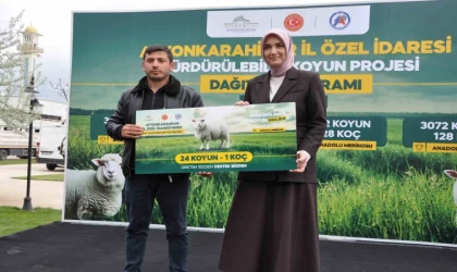 İl genelindeki 127 yetiştiriciye 3 bin 72 koyun ve 128 koç teslim edildi
