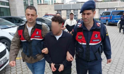 Jandarmadan uyuşturucu operasyonu: 2 gözaltı