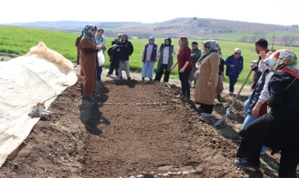 Kadın çiftçilerle sebze fidesi yetiştirme kursu düzenlendi