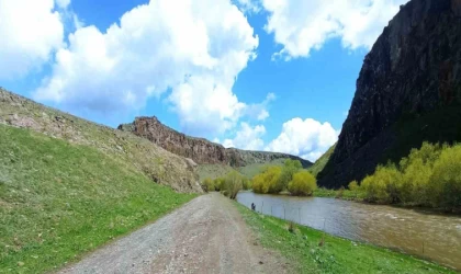 Kars’ta köylüler Akyaka Kanyonu’nu ağaçlandırıyor