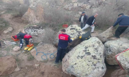 Kayaların arasına sıkışan tosunu itfaiye kurtardı