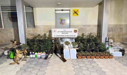 Kenevir yetiştiren şahıslar esrar ve uyuşturucu haplarla yakalandı