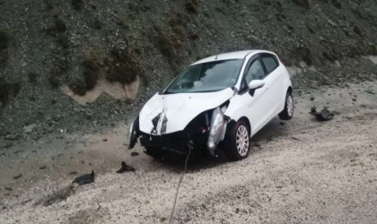 Kontrolden çıkan otomobil yol kenarındaki tabelaya çarptı: 2 yaralı