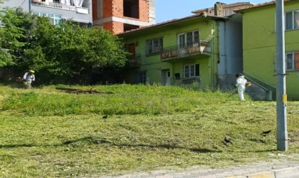 Körfez’de yabani otlarla mücadele sürüyor