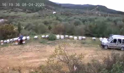 Kovan hırsızı güvenlik kamerasında