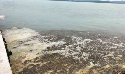 Köyceğiz Gölü’ndeki müsilaj tedirgin etti