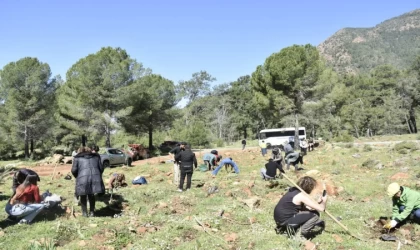 Köyceğiz Tazelenme Üniversitesi öğrencilerinden fidan dikimi etkinliği