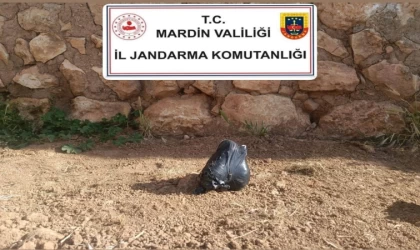 Mardin’de evinde el bombası bulunan şahıs tutuklandı