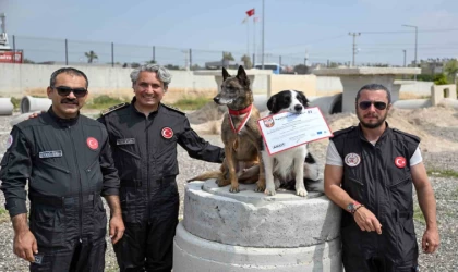 Mersin itfaiyesinin kahraman patileri Ares ve Rex’ten önemli başarı