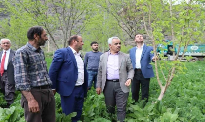 ’Meyve deposu’ Ayvalı Mahallesi’nde don meyve ağaçlarına zarar verdi