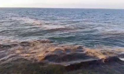 Mudanya sahilinde görülen müsilaj tedirgin etti