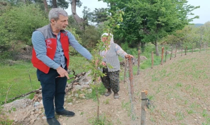 Muğla’da kapsamlı tarımsal takip