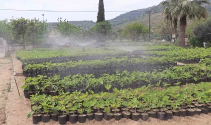 Nazilli Belediyesi’nden doğaya nefes: 18 bin fidan toprakla buluşacak