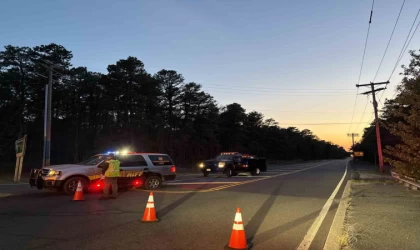 New Jersey’deki orman yangınında 13 bin 250 dönüm alan yandı
