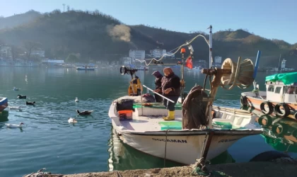 Ordulu balıkçıların ağına dev mezgit takıldı