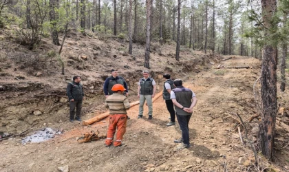 Orman Bölge Müdürü Ataş, Mut’ta incelemelerde bulundu