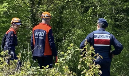 Ormana gitti, bir daha geri dönmedi: 45 gündür her yerde onu arıyorlar