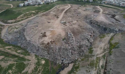 Osmangazi Belediyesi’nin köpek katliamına tepki