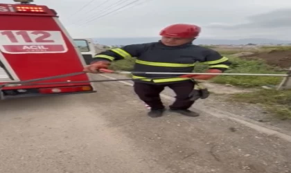 Osmaniye’de elektrik panosuna giren yılanı itfaiye çıkardı