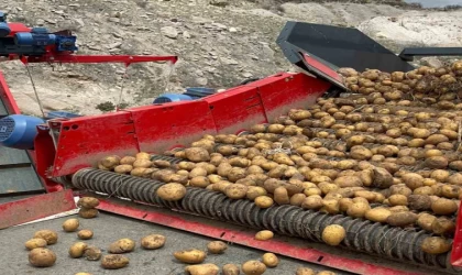 Patatesin toprakla buluşma yolculuğu başladı