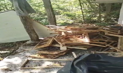 Rize’de ayı soğuk hava deposuna saldırdı