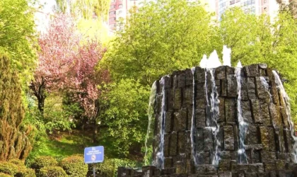 Sakuralar çiçek açtı: Vatandaşlar akın etti