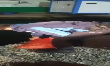 Samsun’da 1 ton 300 kilo kaçak midye ele geçirildi