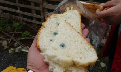 Satın aldığı ekmek küflü ve çift etiketli çıktı, şikayetçi oldu