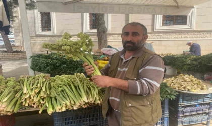 Şifa deposu ışkın, tezgahtaki yerini aldı