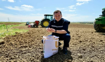 Silivri Belediyesi, ilk kez 10 dönüm nohut ve fasulye ekimi gerçekleştirdi