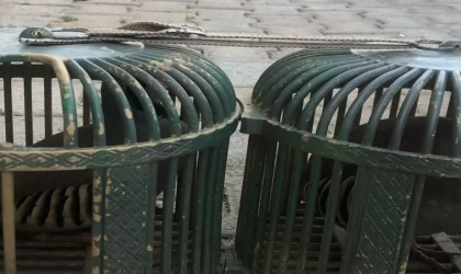 Şırnak’ta araçta 4 keklik ele geçirildi