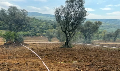 Tarım arazilerinizi koruyun, hisseli satışlara dikkat