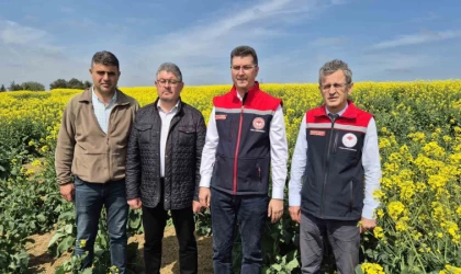 Tekirdağ İl Tarım Müdürü: ”Arılar ölürse, hayat da durur”