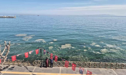 Tekirdağ kıyılarında müsilaj benzeri beyaz tabaka tedirgin etti