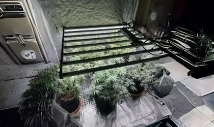 Tekirdağ’da jandarmadan skunk serasına baskın: 1 gözaltı