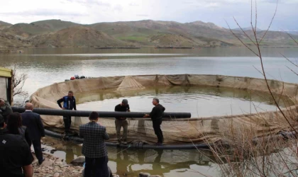 Tercan Baraj Gölüne milyonlarca yavru balık bırakılacak