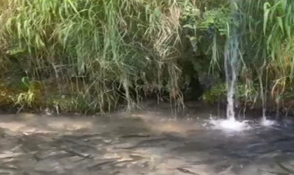 Türkiye’nin 23. doğa harikası Güney Şelalesi ziyaretçilerini bekliyor