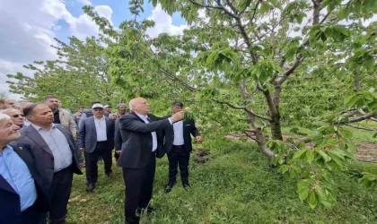 TZOB Başkanı Bayraktar, Akşehir’de zirai dondan etkilenen bahçeleri inceledi