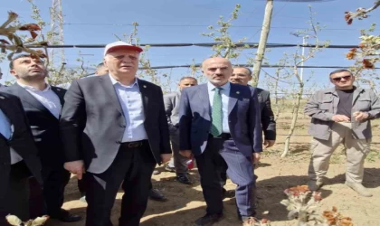 TZOB Başkanı Bayraktar: ”Zirai don ile büyük bir felaket yaşandı”