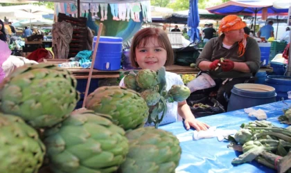 Uluslararası Urla Enginar Festivali başladı